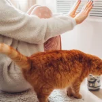 I kept turning up the heat and still felt cold — experts explain this common home comfort problem